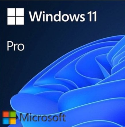 Microsoft Windows 11 Pro TR (OEM)
